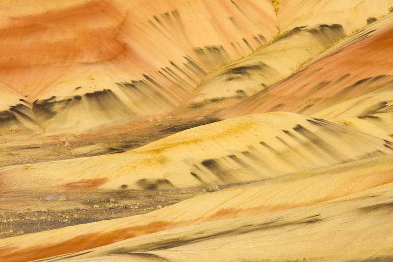 Detail Of The Painted Hills